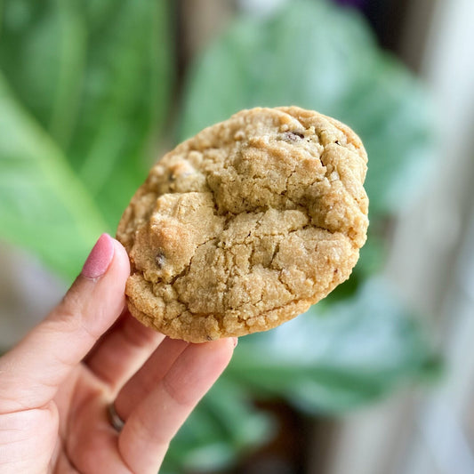 Chewy Chocolate Chip Cookies